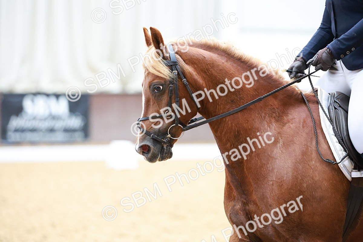SBM_011520 - Prelim 5 - 13.05-14.01