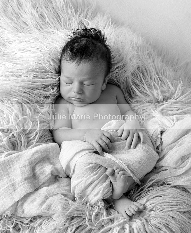 DSC_4893bw - Sadie