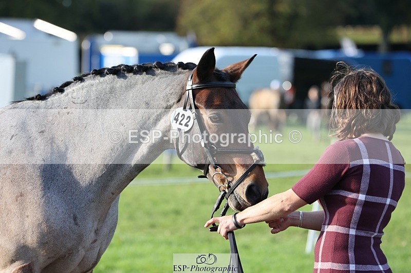 241027-093145-15331 - 422-Janine.Paterson-LAHINCH.TEDDY