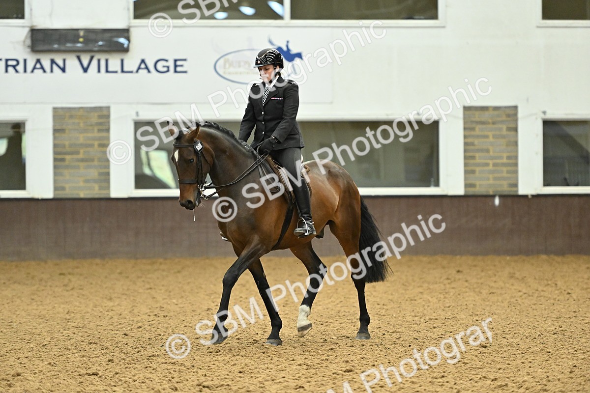 SBM_002060 - Class 23 - BSHA Ridden Show Hunter
