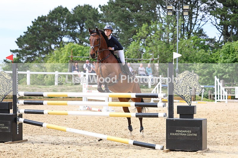 3E7A7684 - Class 8: Senior Foxhunter/1.20 open