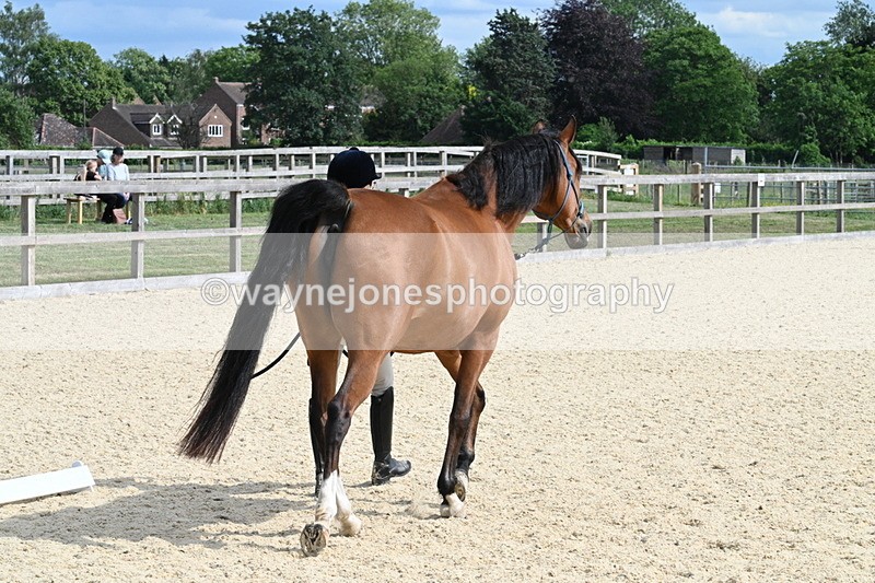 WJ7_8140 - Time 16:10 to 16:25