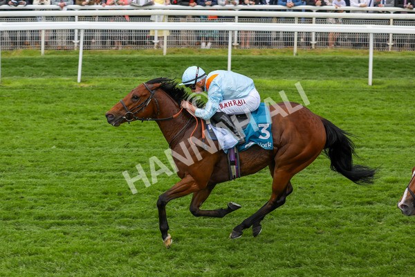 160524-Race 1-Clarendon House-1770 - Race 1 2.15pm Lindum York Handicap