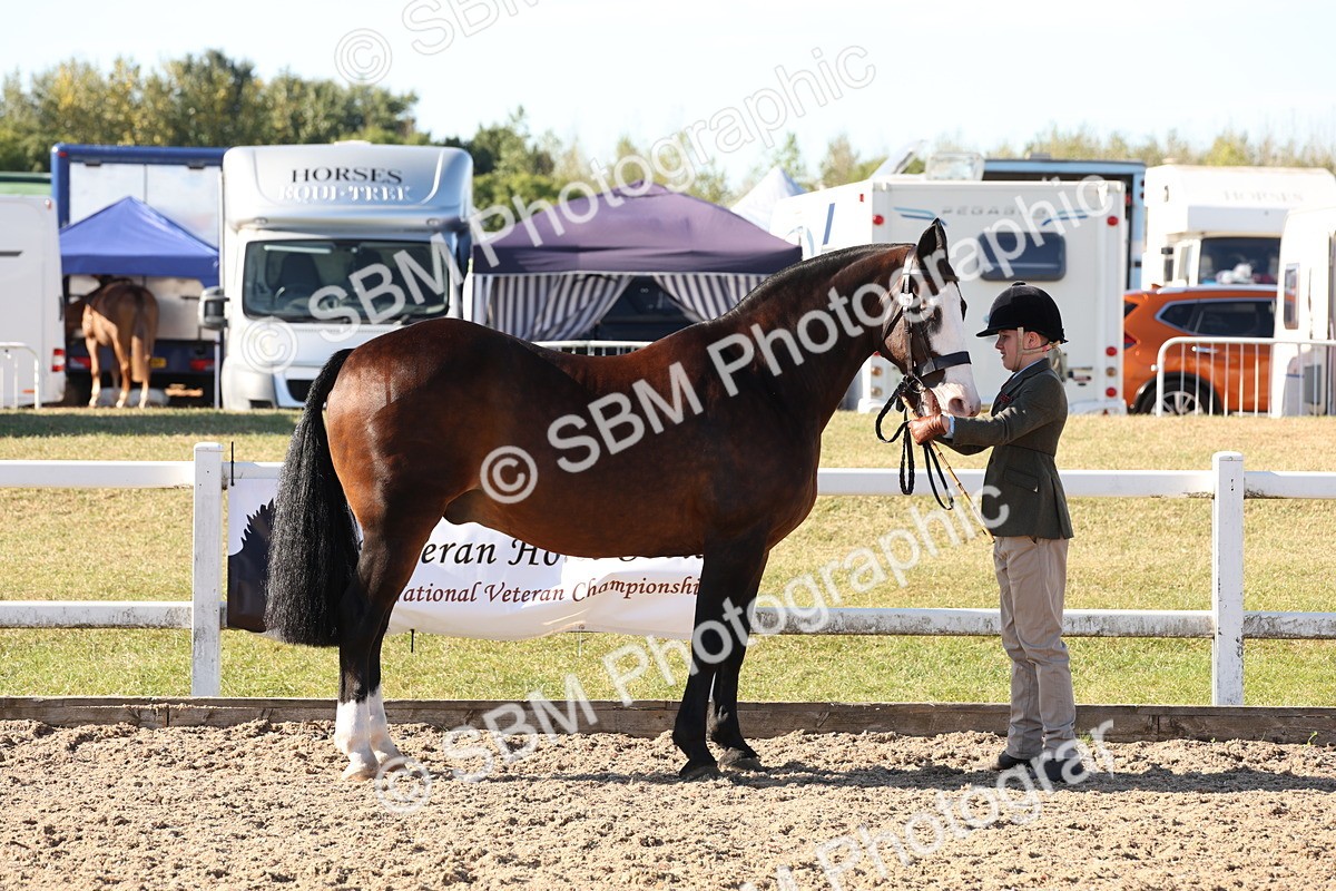 SBM_11739 - Class 204 - Young Handler 11 to 16 years
