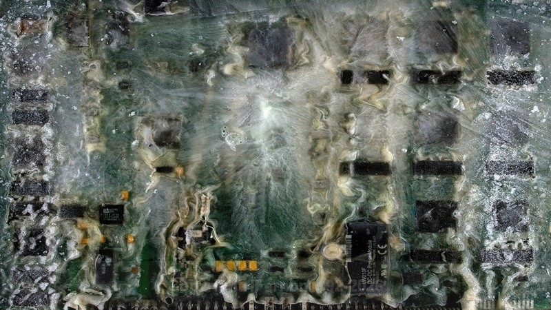 EXCHANGE XLlll - EXCHANGE 2021