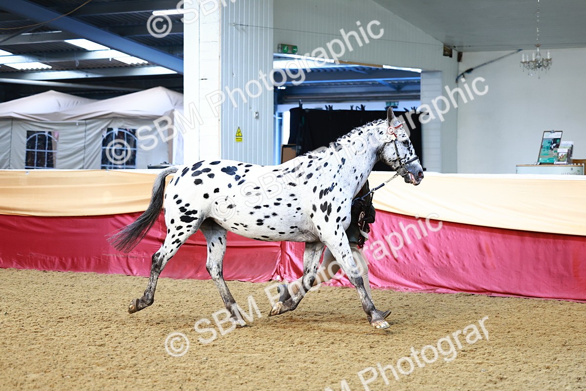 SBM_21951 - Class 901 - Supreme Final - IH  Diamond