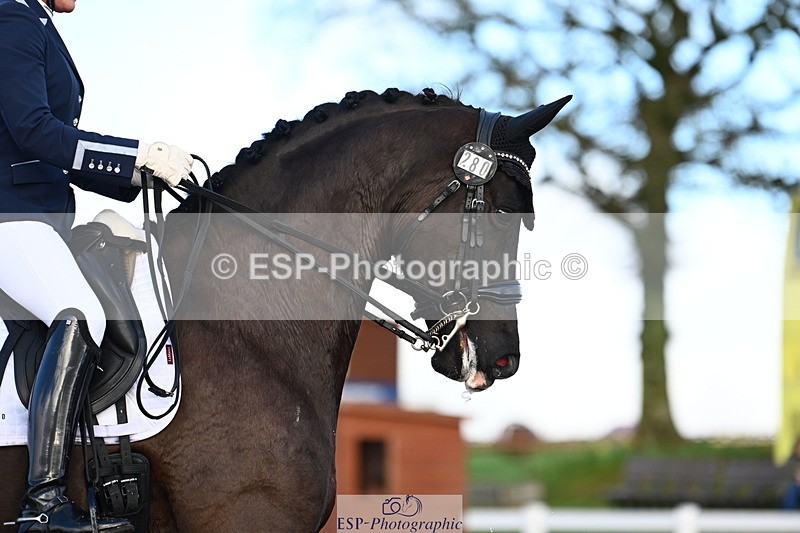 240218A-145529-08958 - 280-Nicola.Buchanan-ST.GILES.DARK.MAGIC