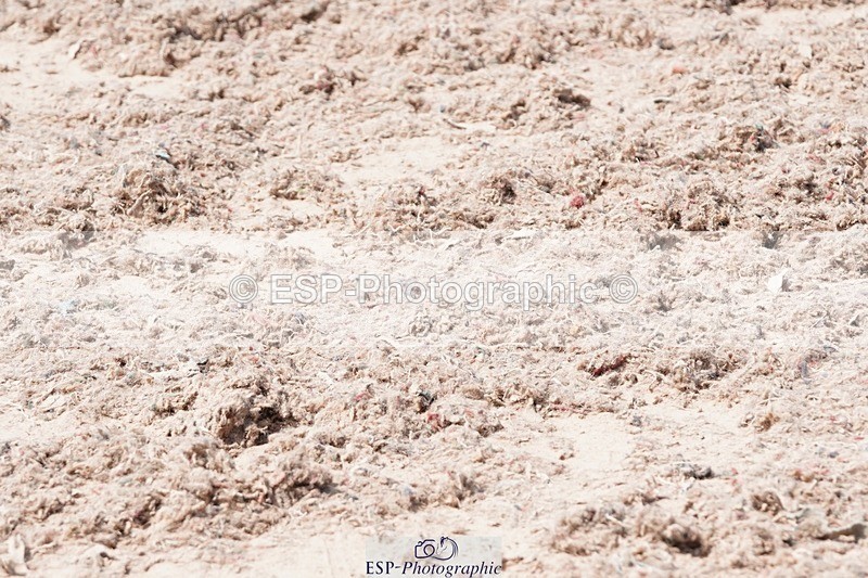 250503-122132-01054 - Cls 23+24 Club and Schools 90cm