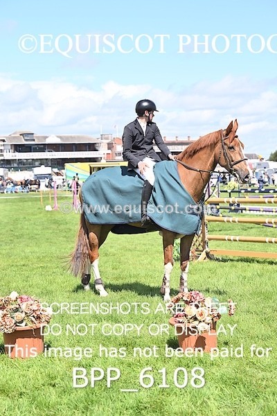BPP_6108 - CLASS 3 ANDREW HAMILTON RHS FOX CHAMP QUAL