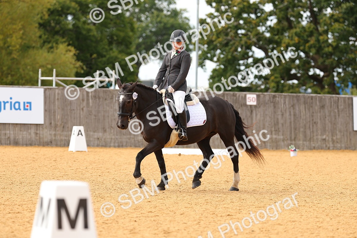 SBM_48171 - D22 - Junior Championship - Intro B