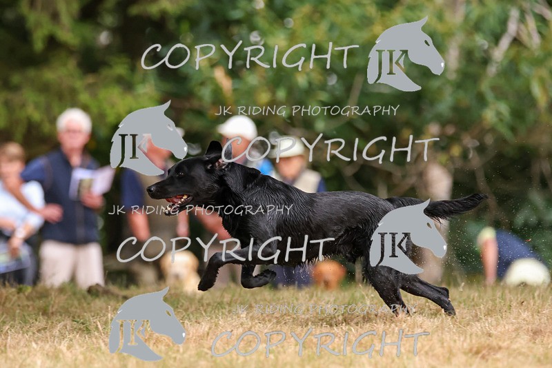 2R6A3237 - TEAM G: NORTH MIDLAND 19-20-21