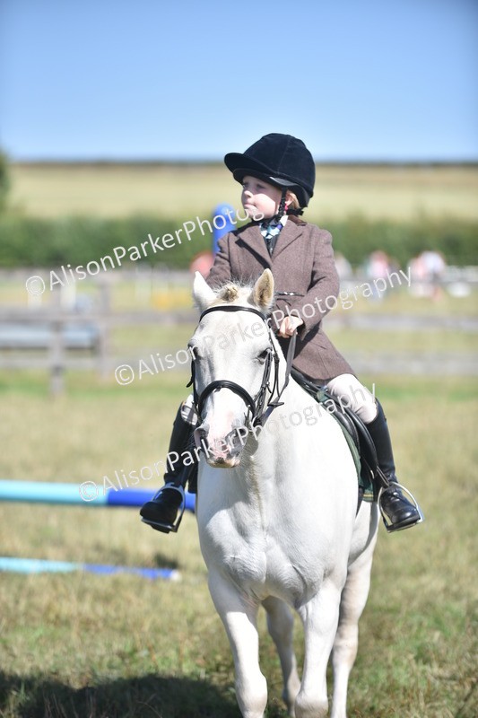20260906-1703 - Class 9 - Absolute Novice Jumping 45cm