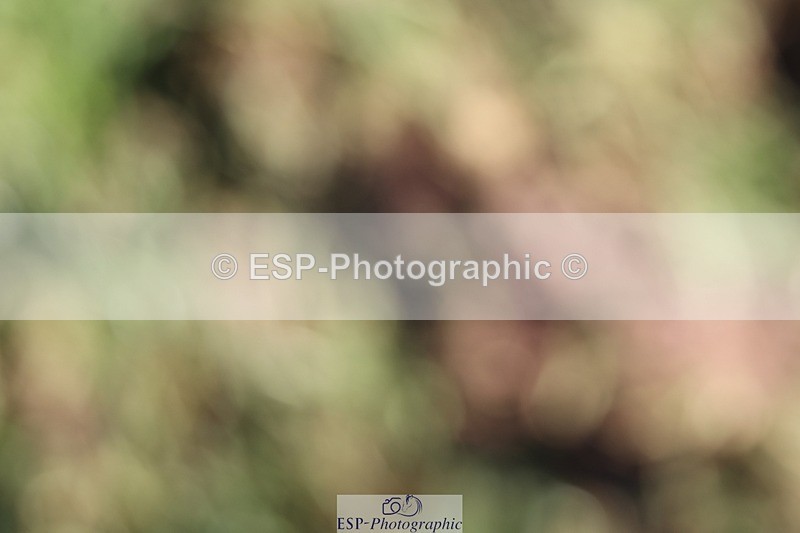 231022-121351-27260 - BE100 Presentations