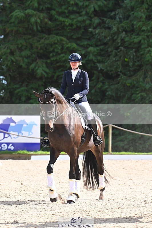 240809-162353-02338 - Preliminary Gold