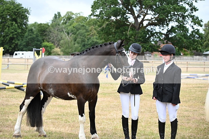 WJ6_4455 - Class 10 Coloured In-hand
