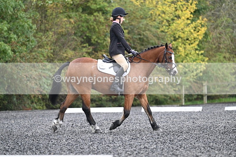 WJ7_3940 - Time 11:04 to 11:38