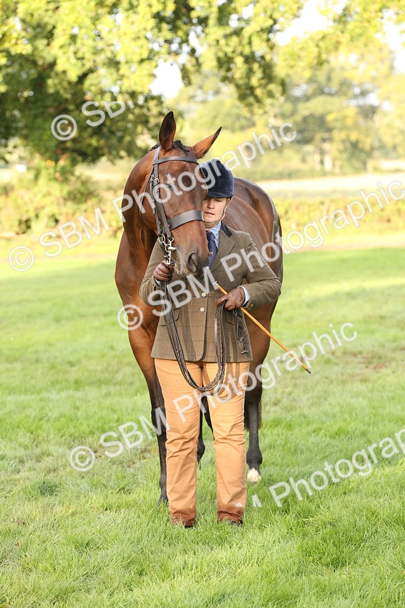 SBM_54969 - S52 - Riding Horse & Hack & thoroughbred In Hand