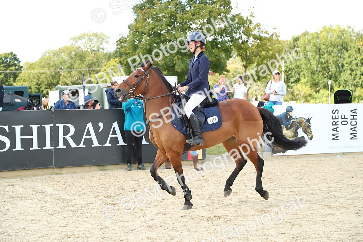 SBM_41543 - J6 - Junior Pony 55cm Championships