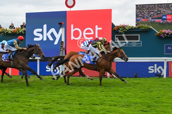 220825-Race 1-Asgards Captain-6643 - Race 1 1.50pm Sky Bet Handicap