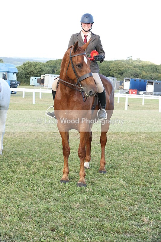 JPP_3713 - Class 24: Open Working Hunter