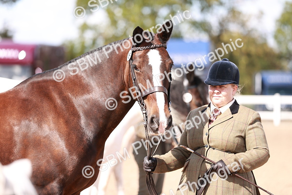 SBM_22988 - Class 707 - IH groom Helpers Class