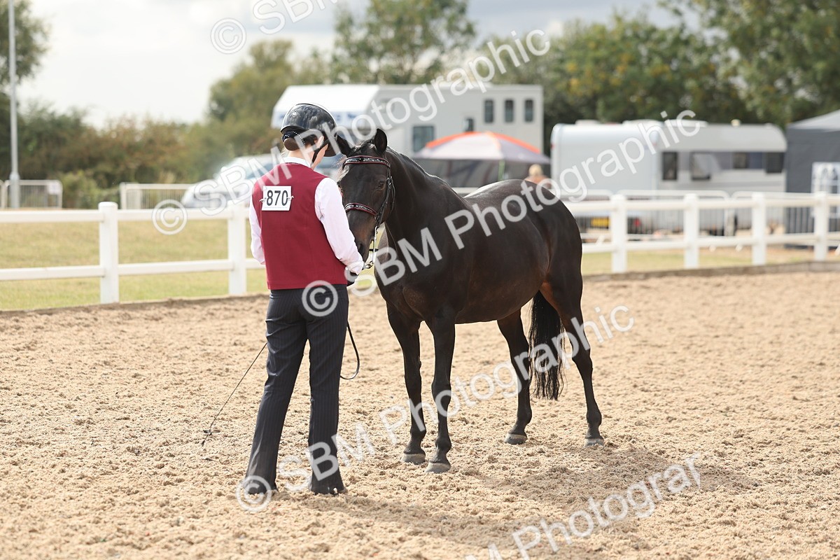 SBM_06893 - Class 25 - IH Foreign Breeds - Purebred