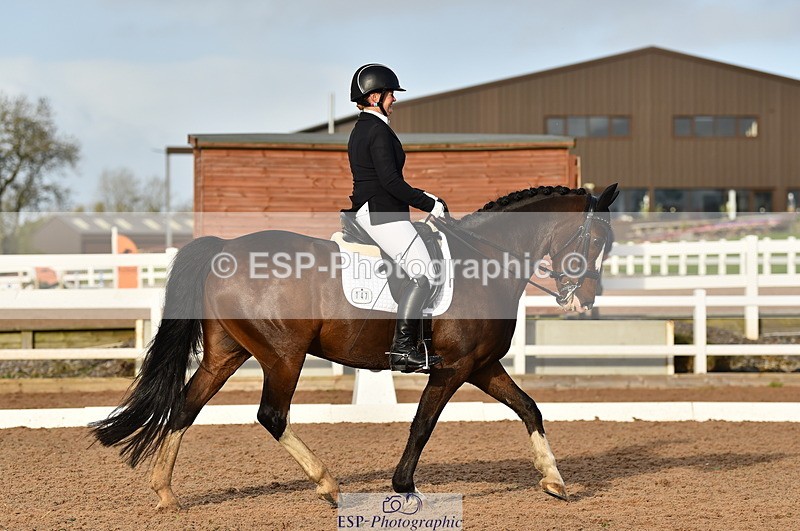 231104A-140208-02009 - Cls 10 Medium 61