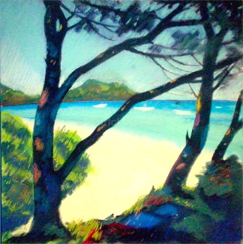 Cap Taillat Pines - South of France