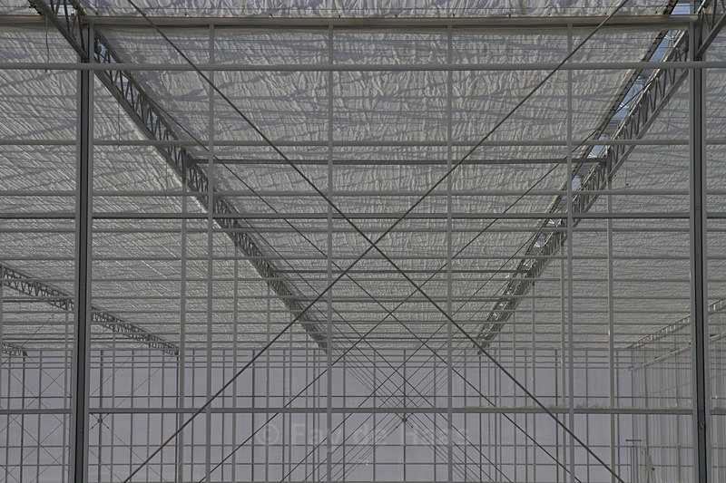 IMG_4560 1 - Manmade lines