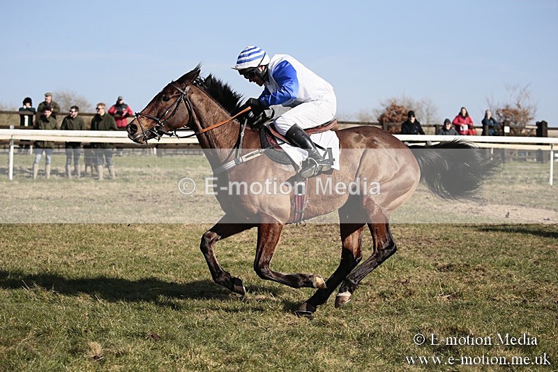 PtP 240218 407 - Vine & Craven Hunt Point-to-Point Barbury racecourse 24/02/18