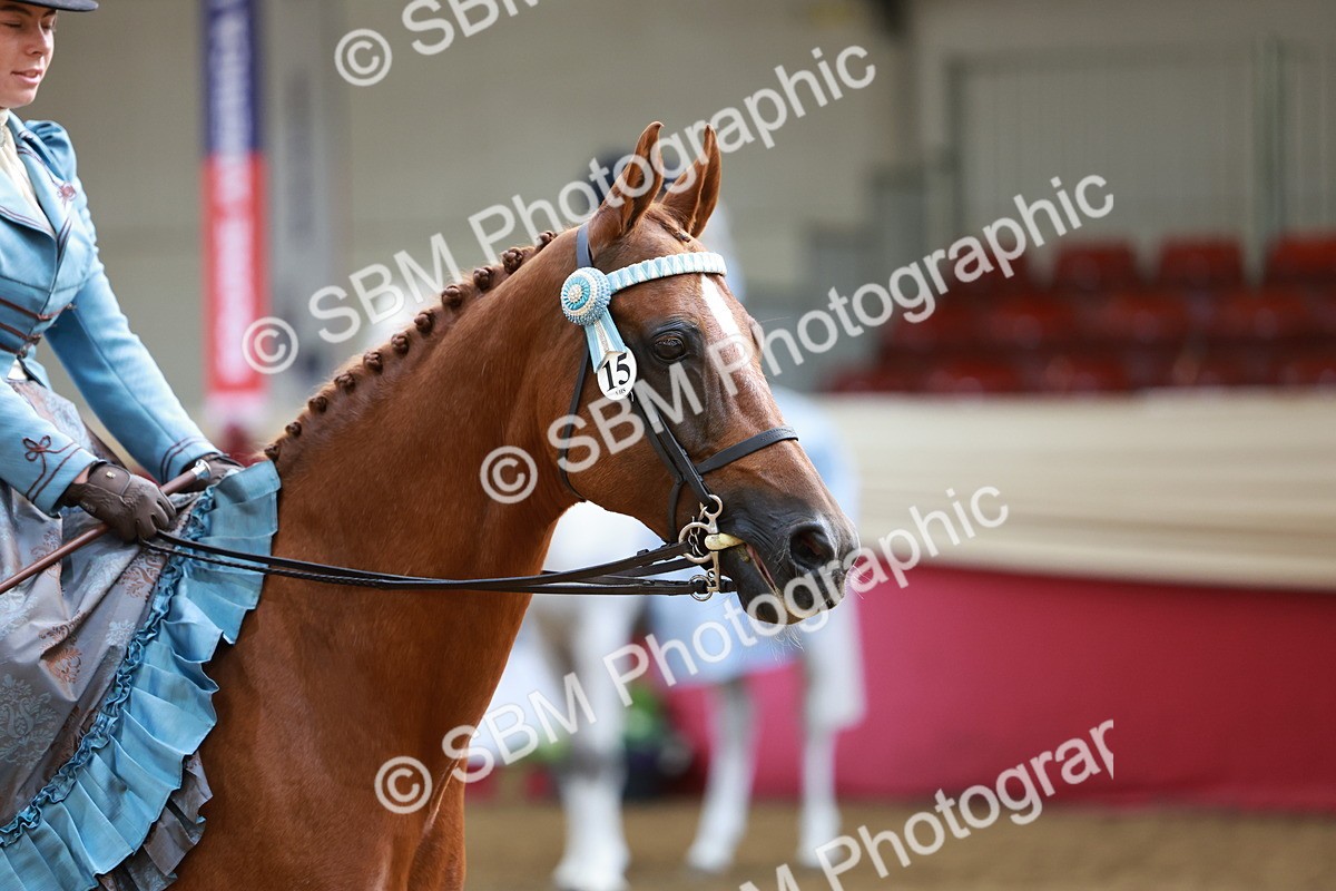 SBM_13747 - Class 106 - Ridden Costume -Astride Adult (15-19)