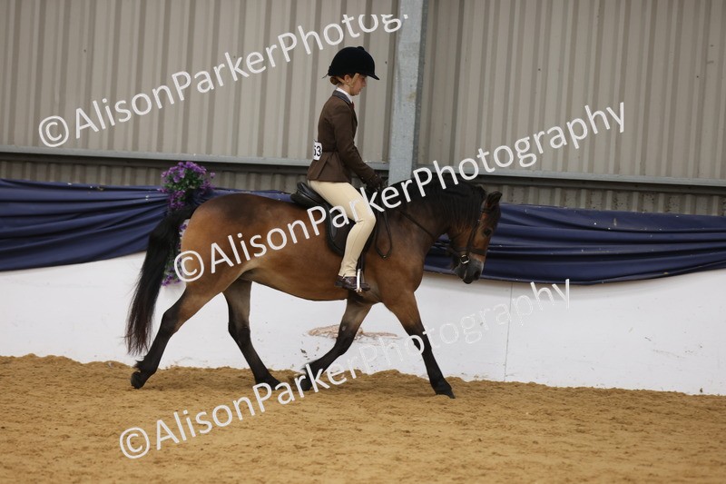 20260913-0607 - Class 126 - Novice Ridden