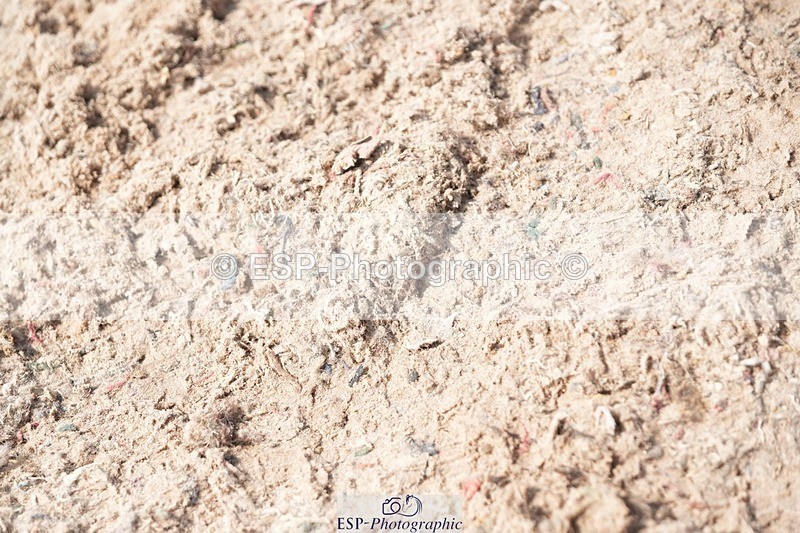 250815-134552-01298 - 1.30pm Presentations