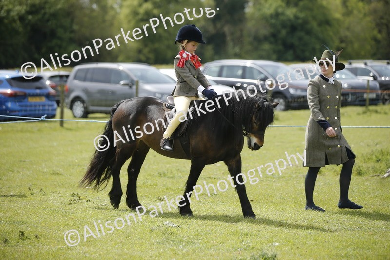 20260426-3437 - Class 11 - Best Mane and Tail