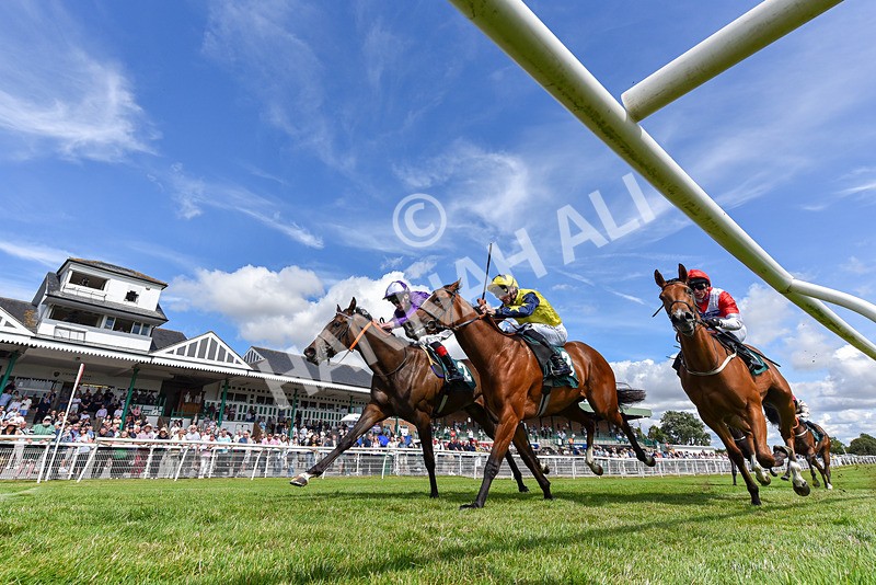 090725-Race 3-Stardinia-6529 - Race 3