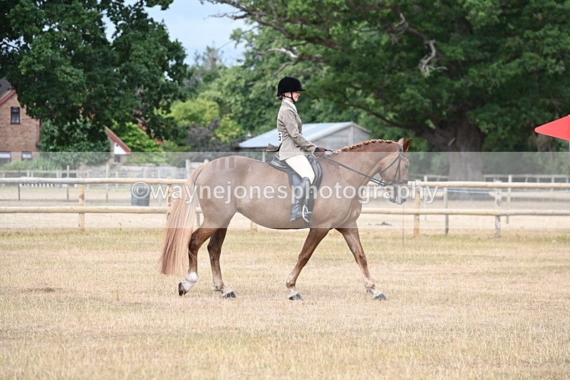 WJ6_7515 - Class 9 Tack and Turnout