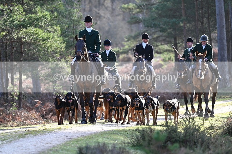 WJ7_7622 - Line 3 (no line 4 or 5)