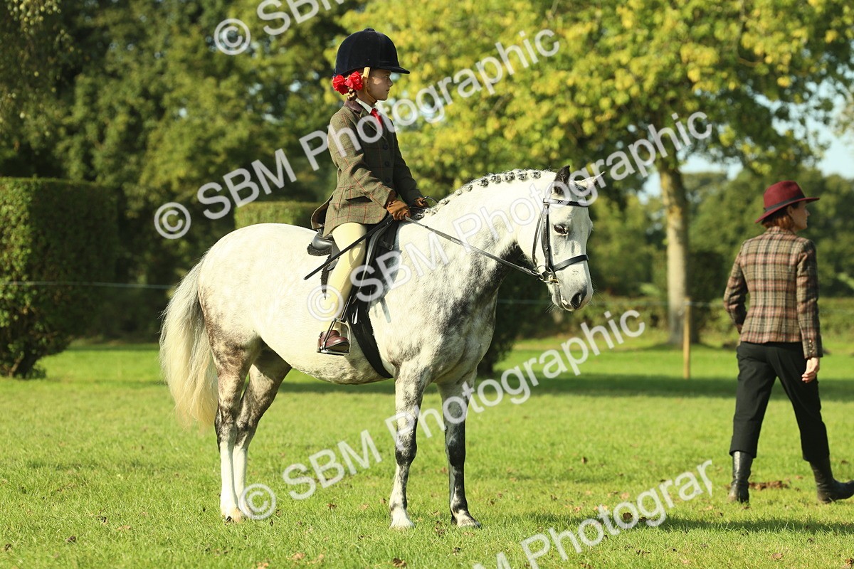 SBM_59207 - S38 - Starters Ridden Showing