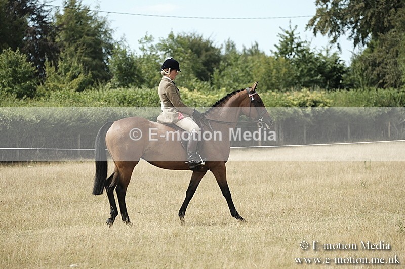 _PJP6096 - Ridden Championship BVRC Show 2018
