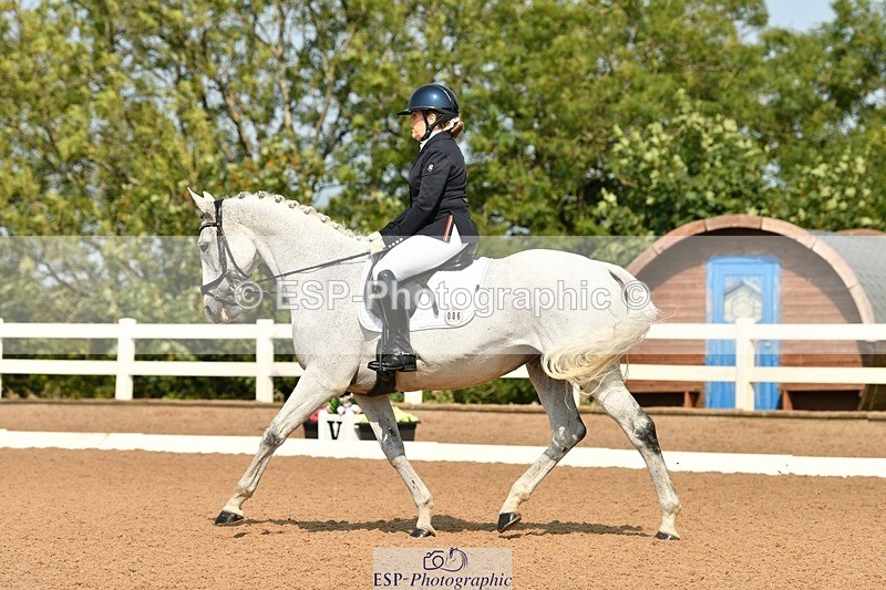 250817-111057-08489 - 086-Tammie.WellsSilver.moonshine