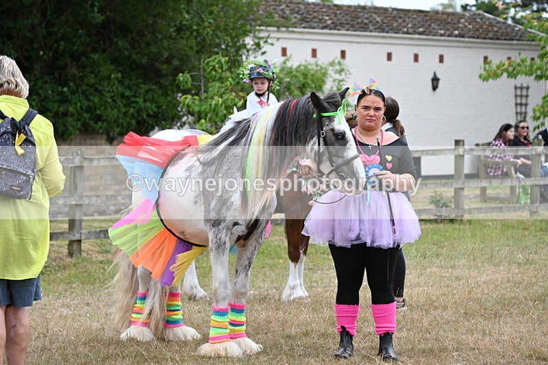 WJ6_9137 - Class 11 Fancy Dress