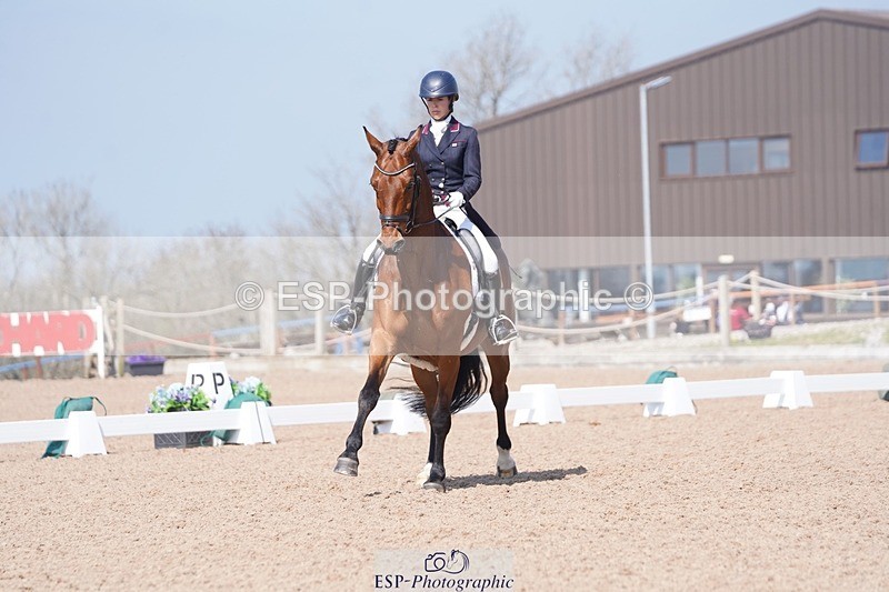 250404-122938-05666 - 028-Elizabeth.Allen-Heraldik