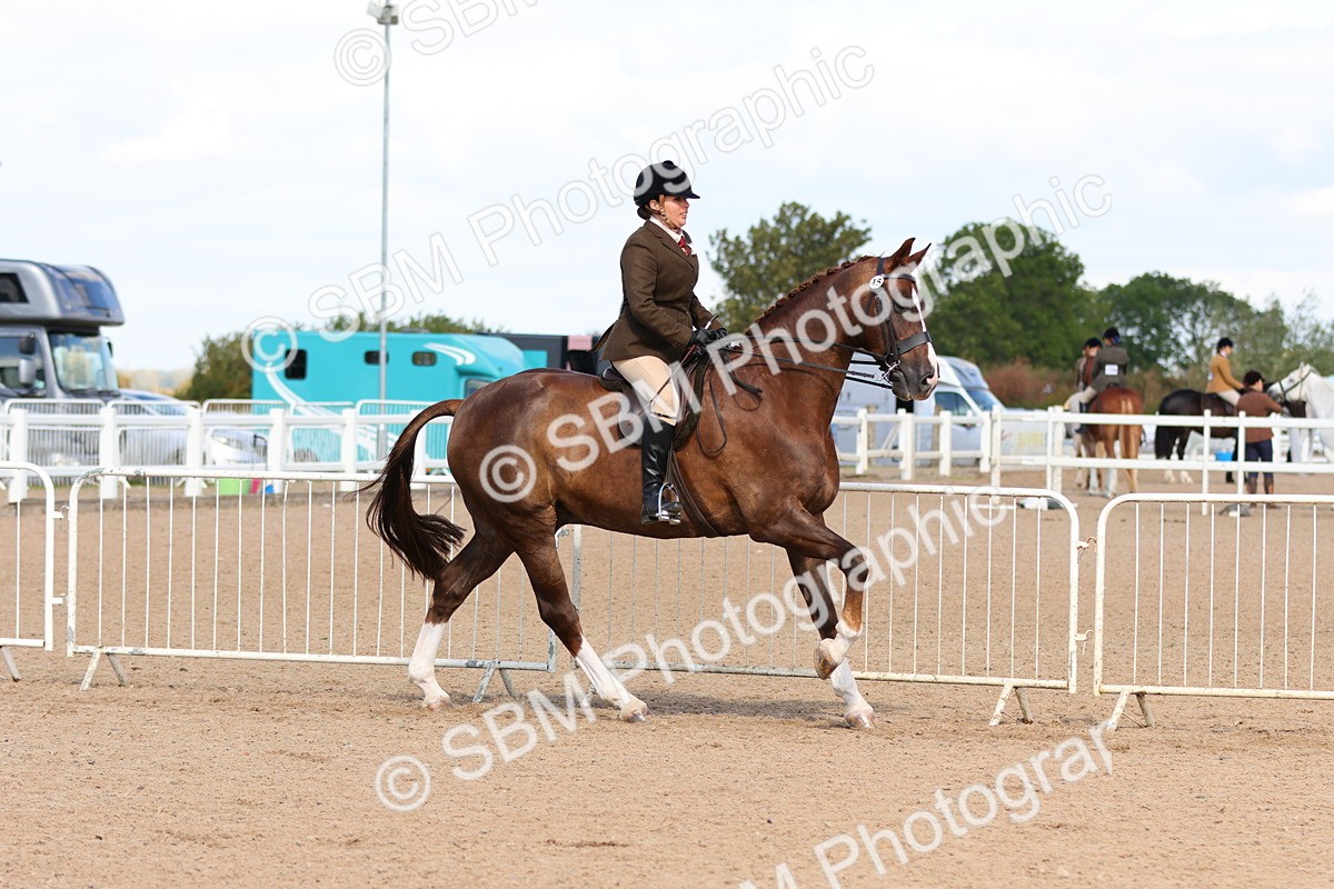 SBM_13490 - Class 212 - Ridden Hunter  - Large