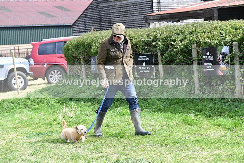 WJ5_0346 - Class 7 Best Terrier