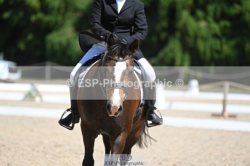 230811-133926-01572 - Cls 2 Prelim Silver Start to 14.30 break