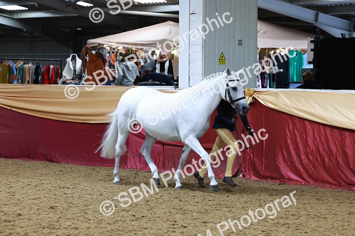 SBM_19926 - Class A - Junior Champ 10yr and Under