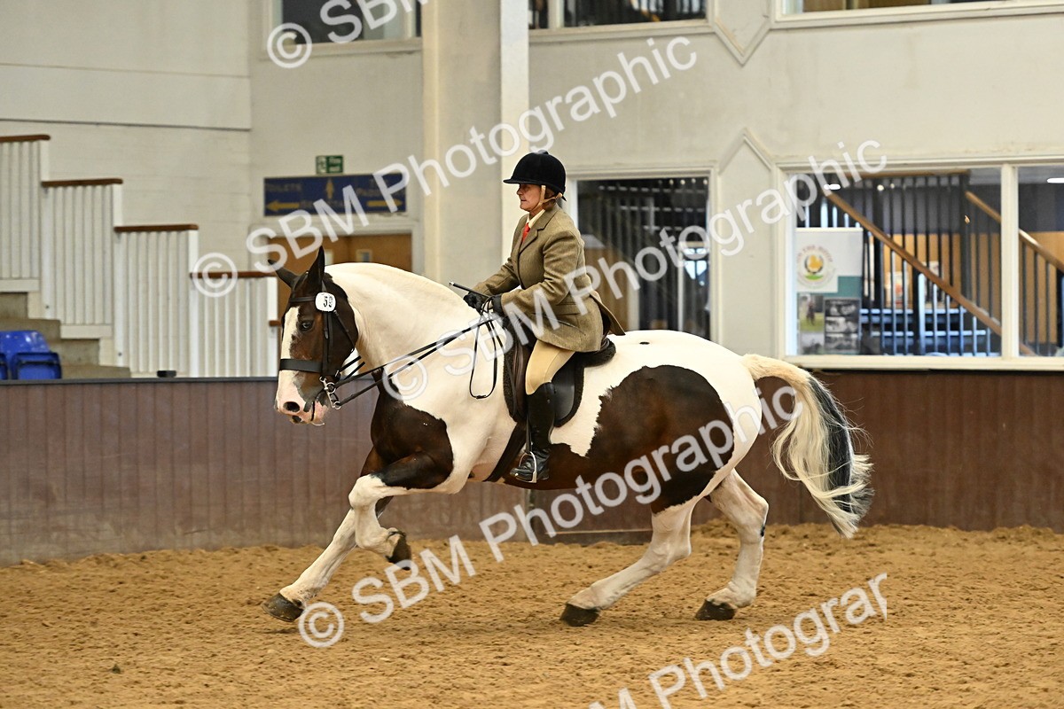 SBM_002028 - Class 21 - BSHA Ridden Show Cob