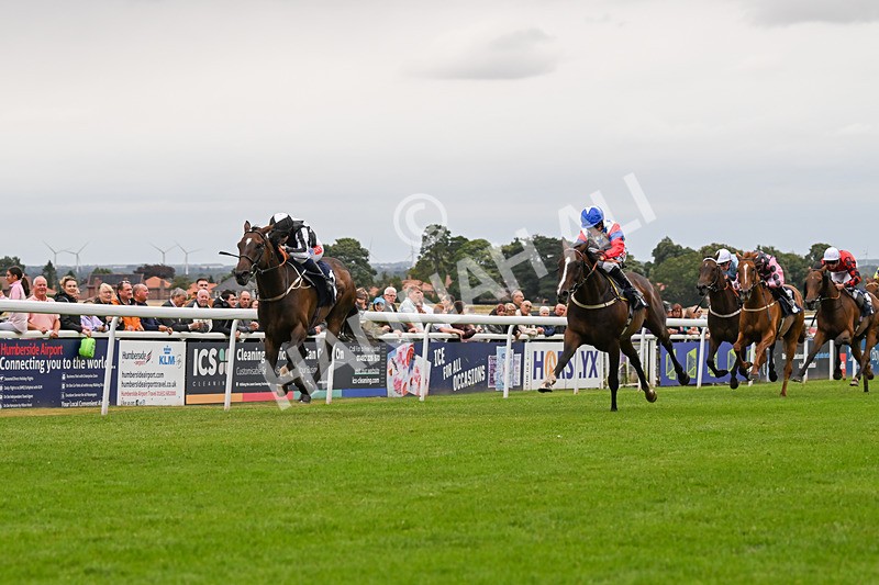 150824-Race 5-Pons Aelius-8300 - Race 5