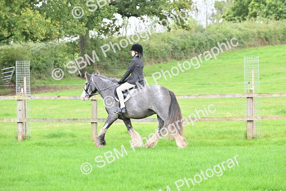 SBM_42887 - S12 - Family Horse & Pony