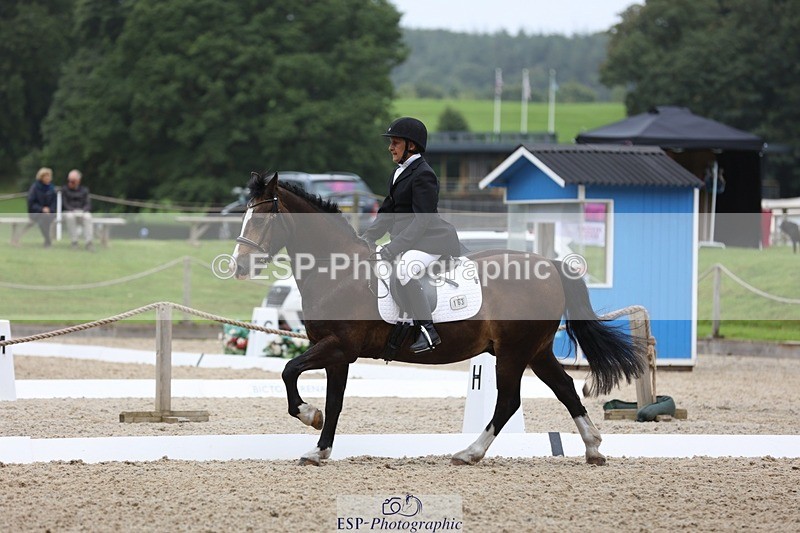 230812-102324-03207 - Cls 5 Novice Bronze Start to 10.55 break